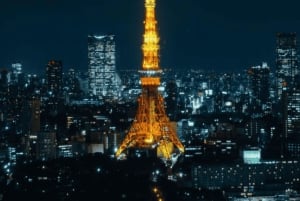 Tokyo Private Day Tour By English Speaking Driver Customised