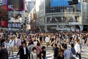 Tokyo Private Day Tour By English Speaking Driver Customised