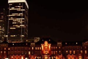 Tokyo Private Day Tour By English Speaking Driver Customised