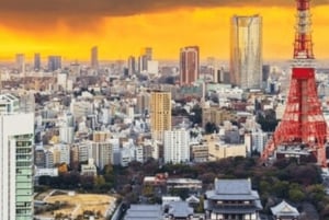 Tokyo Private Day Tour By English Speaking Driver Customised