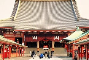 Tokyo Private Day Tour By English Speaking Driver Customised