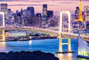 Tokyo Private Day Tour By English Speaking Driver Customised