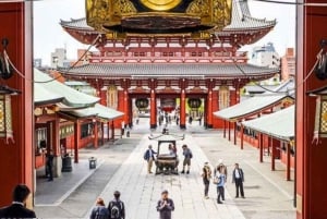 Tokyo Private Day Tour By English Speaking Driver Customised