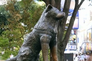 Tokyo Private Day Tour By English Speaking Driver Customised