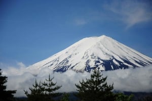 Tokyo: Privat dagsudflugt til Mount Fuji og Hakone