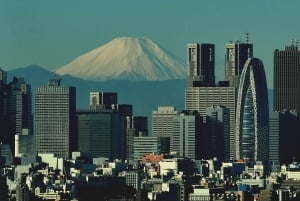 Tokyo: Privat dagsudflugt til Mount Fuji og Hakone
