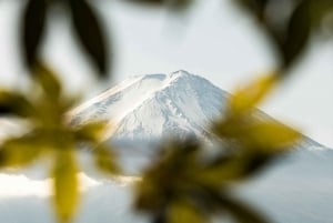 Tokyo: Privat dagsudflugt til Mount Fuji og Hakone