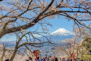 Tokyo: Privat dagsudflugt til Mount Fuji og Hakone