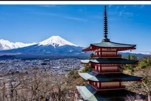 Tokyo: Privat dagsudflugt til Mount Fuji og Hakone