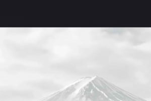 Tokyo: Privat dagsudflugt til Mount Fuji og Hakone