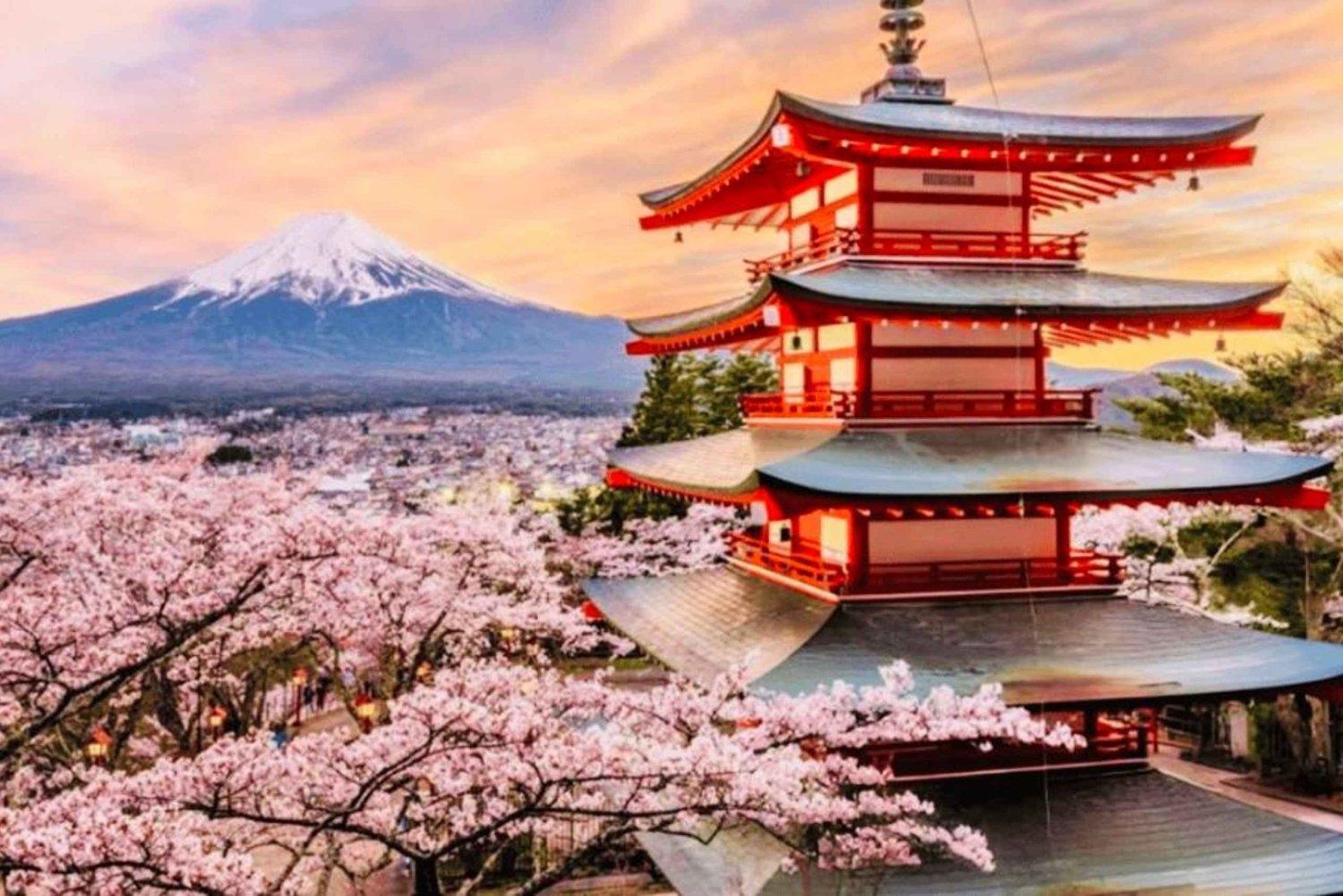 Visite privée du mont Fuji au départ de Tokyo/Yokohama (personnalisable)