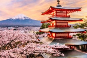 Visite privée du mont Fuji au départ de Tokyo/Yokohama (personnalisable)