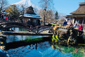 Visite privée du mont Fuji au départ de Tokyo/Yokohama (personnalisable)