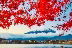 Visite privée du mont Fuji au départ de Tokyo/Yokohama (personnalisable)