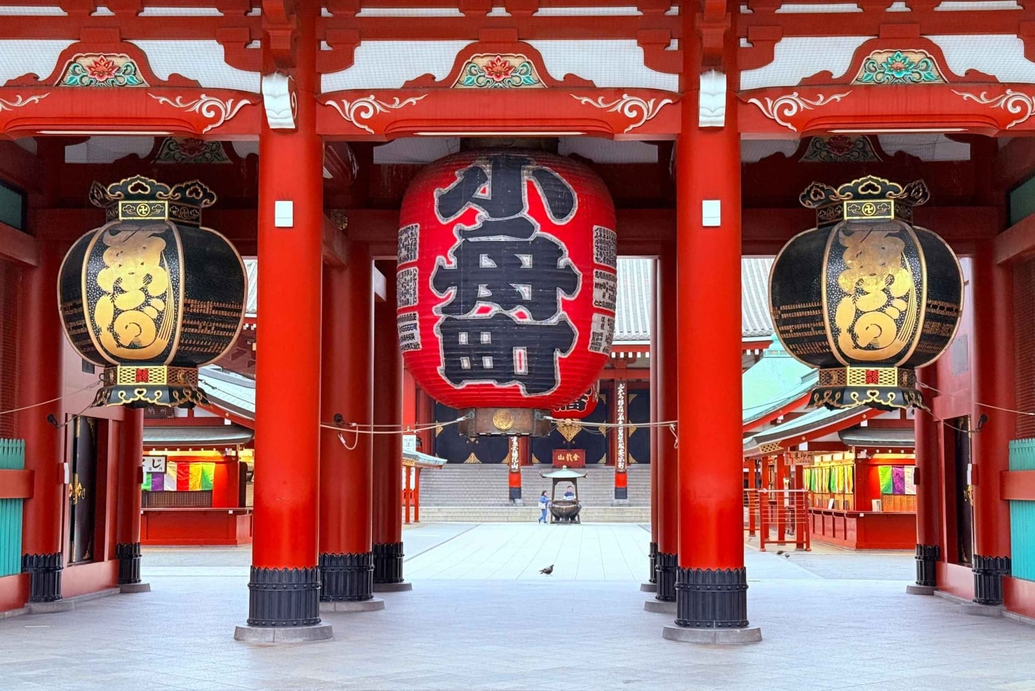 Privat dagstur i Tokyo med engelsktalende sjåfør