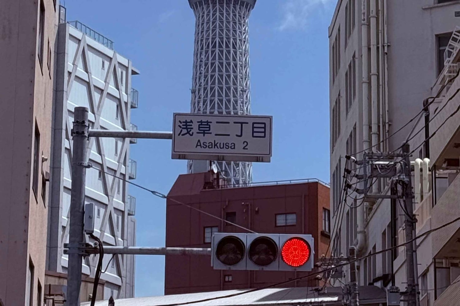 Privat dagstur i Tokyo med engelsktalende sjåfør