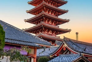 Privat dagstur i Tokyo med engelsktalende sjåfør