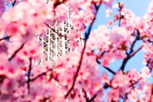 Privat dagstur i Tokyo med engelsktalende sjåfør