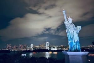 Privat dagstur i Tokyo med engelsktalende sjåfør