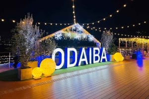 Privat dagstur i Tokyo med engelsktalende sjåfør