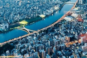 Privat dagstur i Tokyo med engelsktalende sjåfør