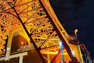 Privat dagstur i Tokyo med engelsktalende sjåfør