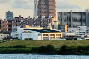 Privat dagstur i Tokyo med engelsktalende sjåfør