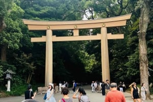 Privat dagstur i Tokyo med engelsktalende sjåfør