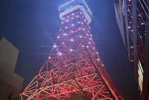 Privat dagstur i Tokyo med engelsktalende sjåfør