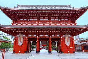 Privat dagstur i Tokyo med engelsktalende sjåfør