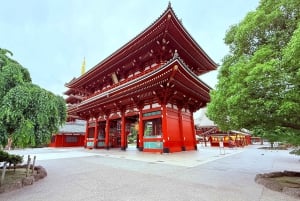 Privat dagstur i Tokyo med engelsktalende sjåfør