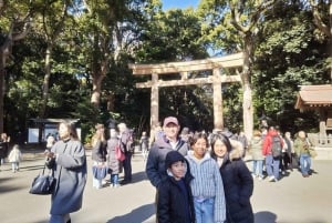 Tokyo : visite privée adaptée aux familles avec guide