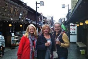 Tokyo : visite privée adaptée aux familles avec guide