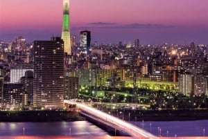 Tokyo: Privat heldagstur med engelsktalende chauffør