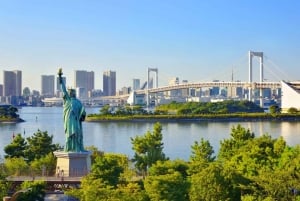 Tokyo: Privat heldagstur med engelsktalende chauffør