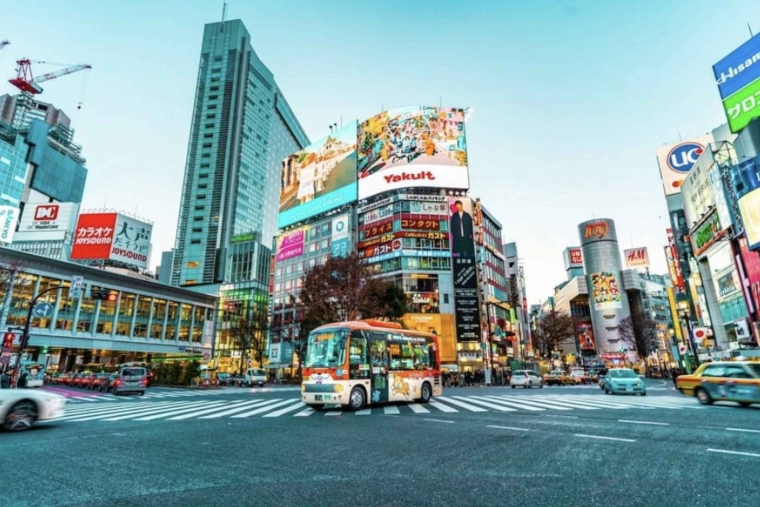 Tokio: Tour privado guiado con servicio de recogida y regreso del hotel