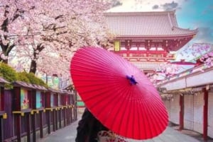 Tokio: Privé rondleiding met ophaal- en terugbrengservice naar je hotel