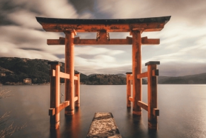 Tokio: Privé rondleiding met ophaal- en terugbrengservice naar je hotel