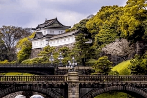 Tokio: Privé rondleiding met ophaal- en terugbrengservice naar je hotel