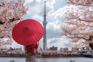 Tokio: Privé rondleiding met ophaal- en terugbrengservice naar je hotel