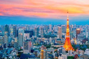 Tokio: Privé rondleiding met ophaal- en terugbrengservice naar je hotel