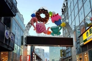 Tokyo: privat guidet tur med henting og avlevering på hotellet