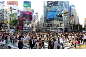 Tokyo: privat guidet tur med henting og avlevering på hotellet