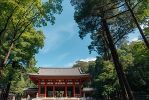 Tokyo: privat guidet tur med henting og avlevering på hotellet