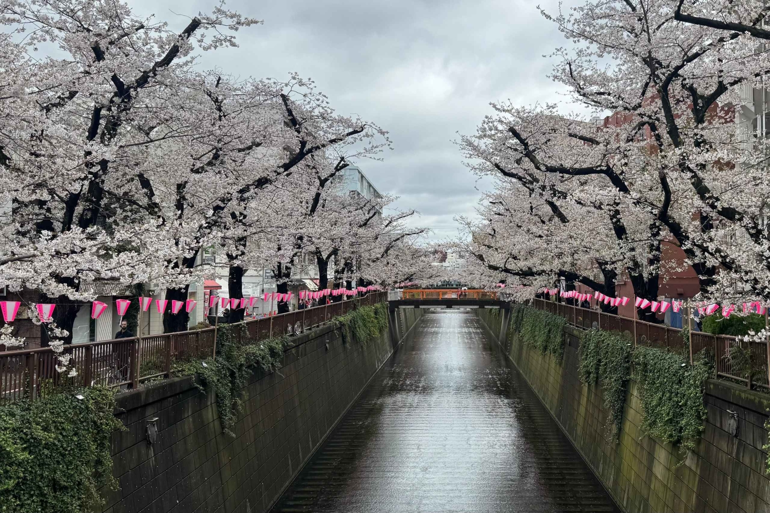 Tokyo: privat tur til skjulte perler med henting på hotellet
