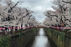 Tokyo: privat tur til skjulte perler med henting på hotellet