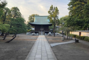 Tokyo: privat tur til skjulte perler med henting på hotellet