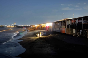 Tokyo: privat tur til skjulte perler med henting på hotellet