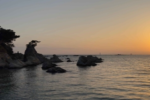 Tokyo: privat tur til skjulte perler med henting på hotellet