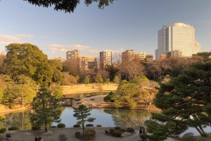 Tokyo: privat tur til skjulte perler med henting på hotellet
